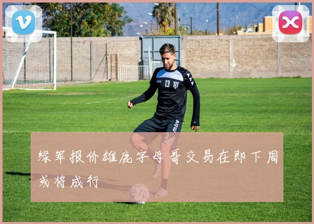 绿军报价雄鹿字母哥交易在即下周或将成行