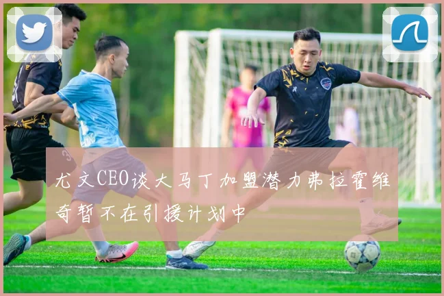 尤文CEO谈大马丁加盟潜力弗拉霍维奇暂不在引援计划中